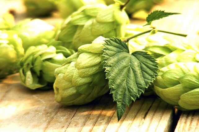 HOP CONNECTION to increase breast size
